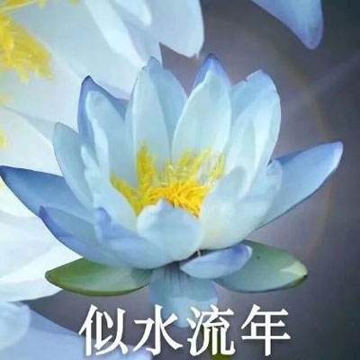 “2019廊坊文化旅游季”系列活动今年4至9月举办